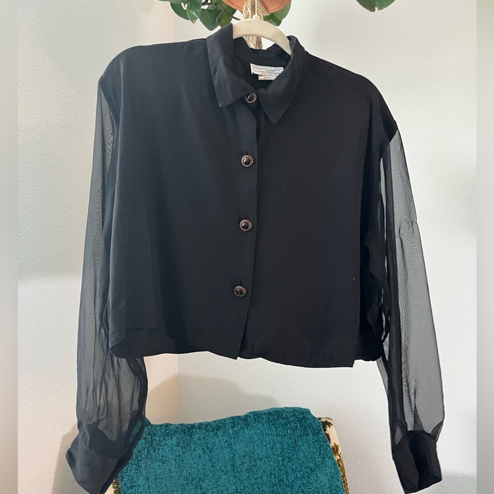 Elegant Black Sheer Sleeve Blouse